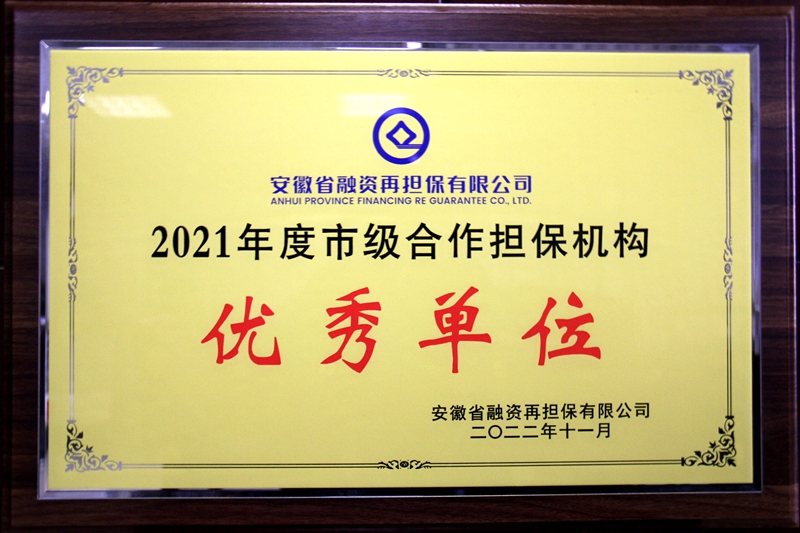 2021年度市級合作擔保機構優秀單位